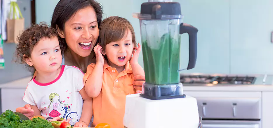 Juicer and Mixer Blender Repair in Biddeford 