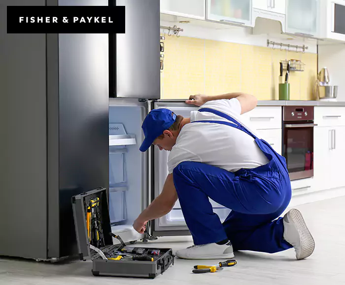 Top-Rated Fisher & Paykel Appliance Experts: Your Brand Specialist in Biddeford, ME